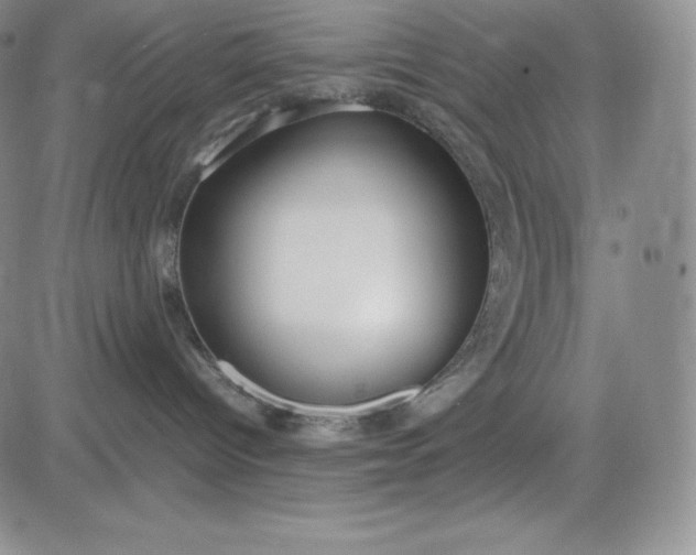 X0000083660096200702261153