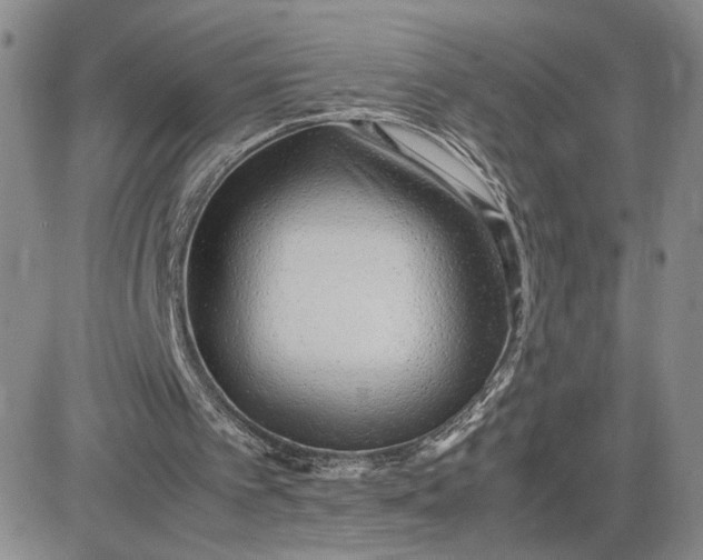 X0000083660097200702261152