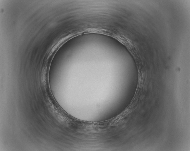 X0000083660098200702261152