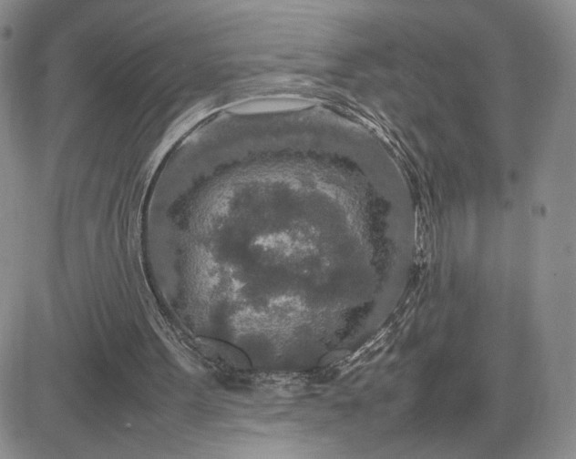 X0000083660099200702261152