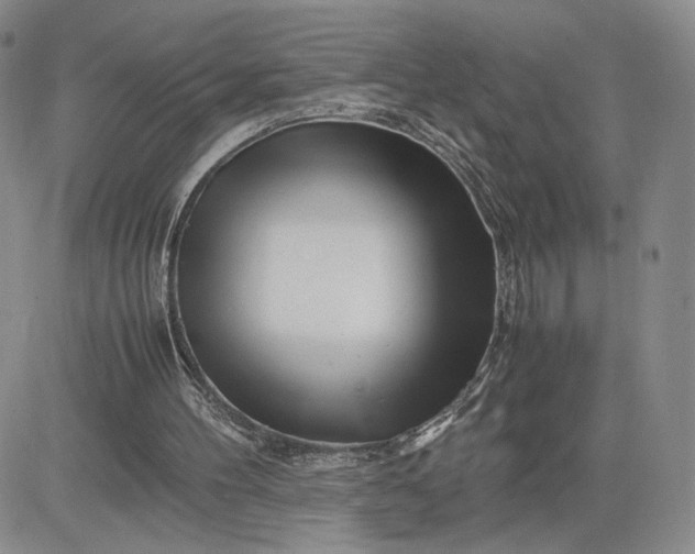 X0000083660100200702261152