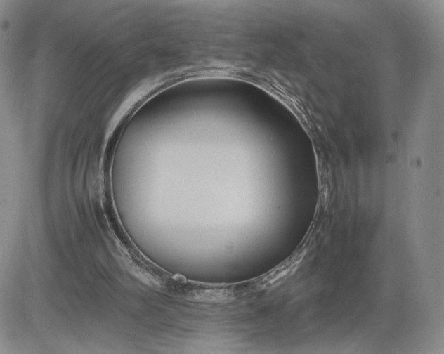 X0000083660102200702261152