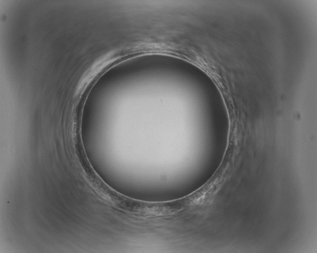 X0000083660103200702261152