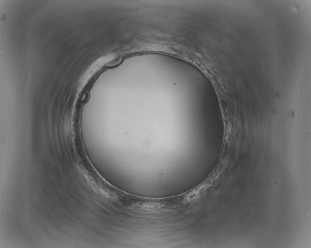 X0000083660104200702261152