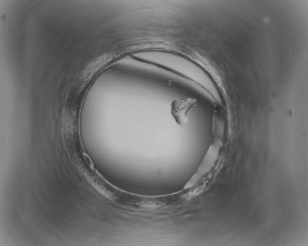 X0000083660105200702261152