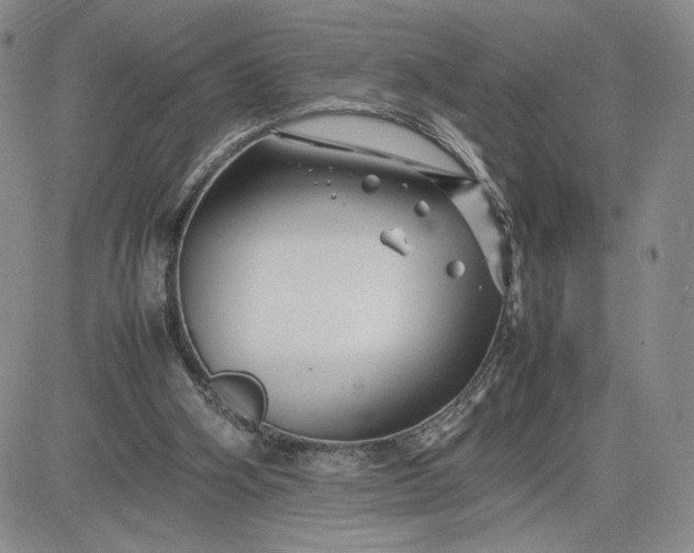 X0000083660106200702261152