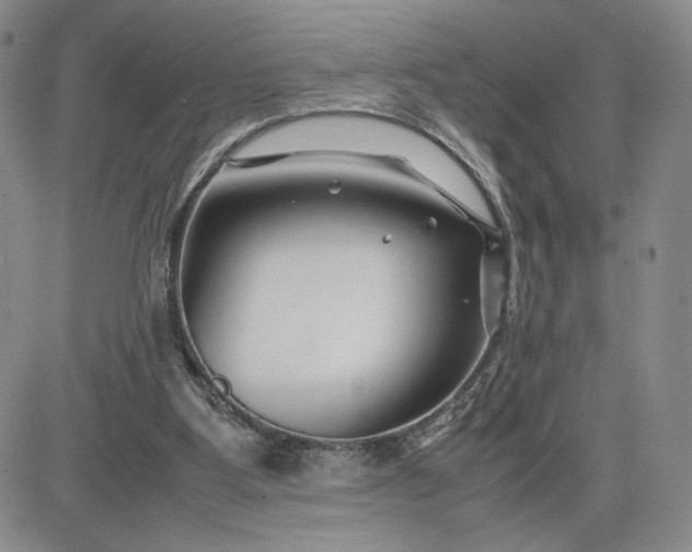 X0000083660107200702261152