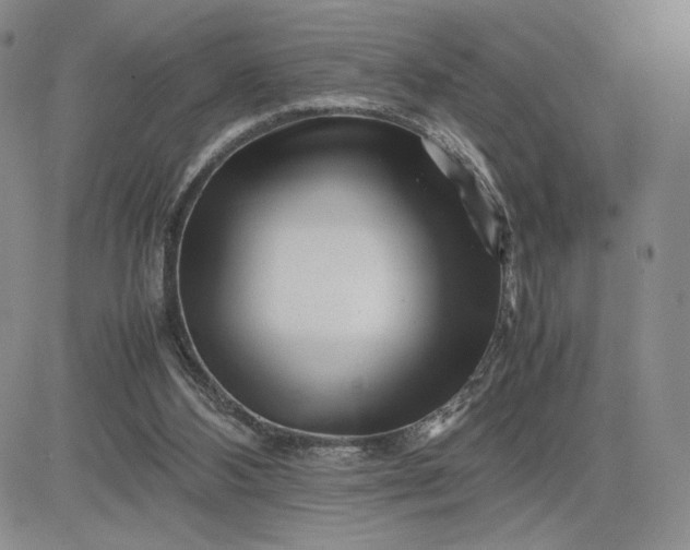 X0000083660108200702261152