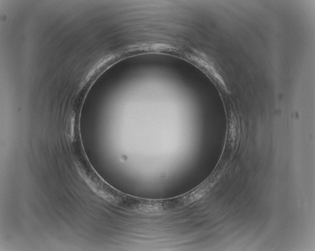 X0000083660110200702261152