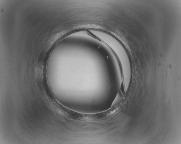 X0000083660111200702261152