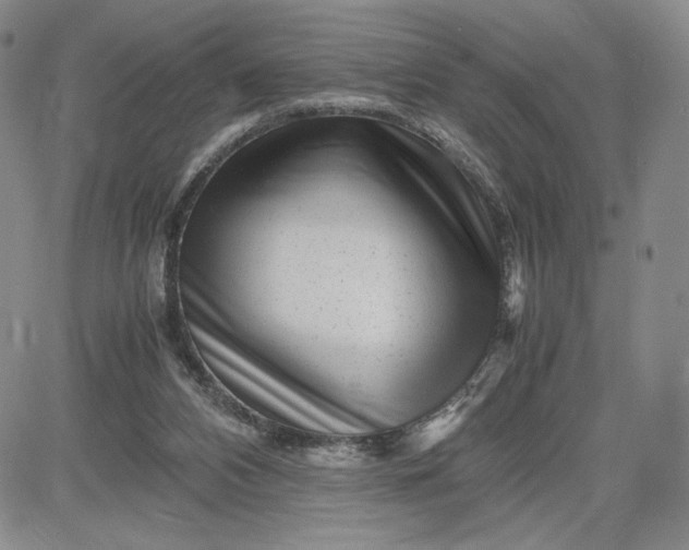 X0000083660112200702261152