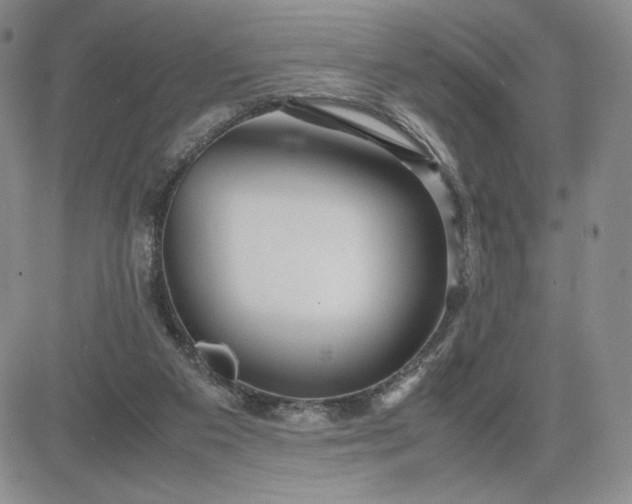 X0000083660113200702261151