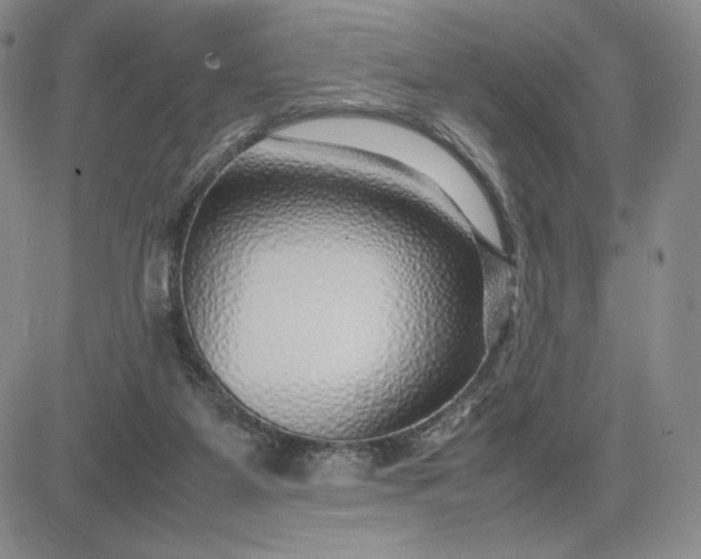 X0000083660115200702261151