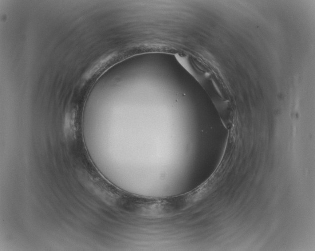 X0000083660116200702261151