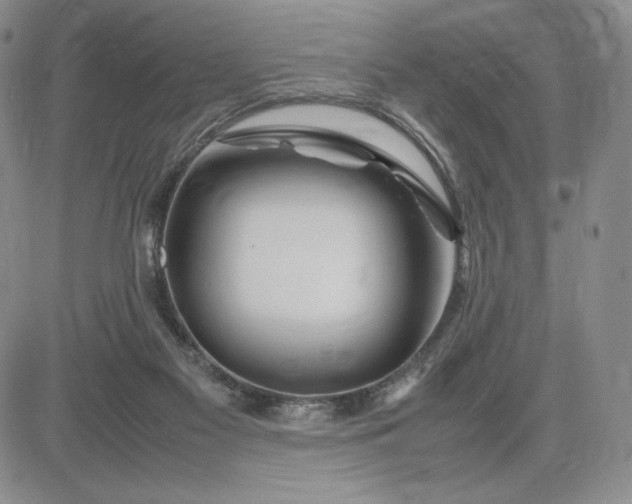 X0000083660117200702261151