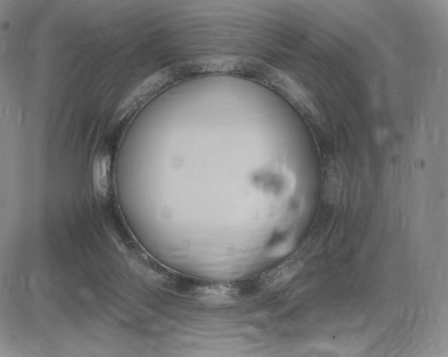 X0000083660118200702261151