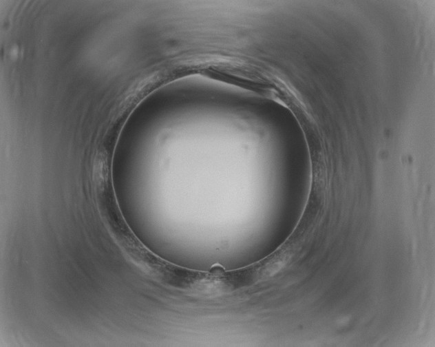 X0000083660119200702261151