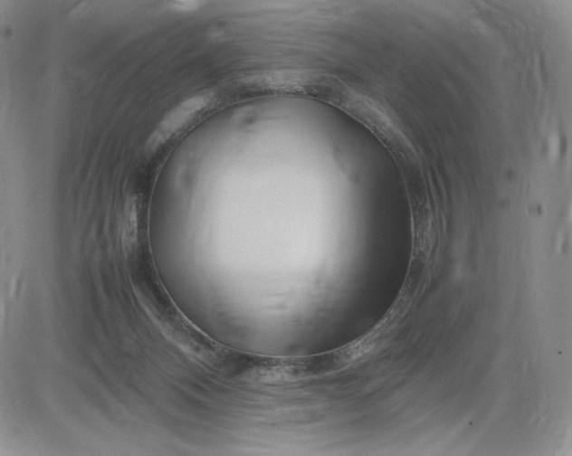 X0000083660120200702261151