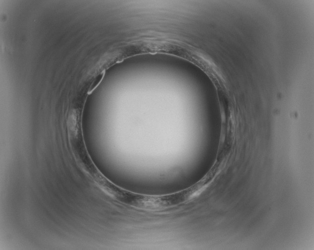 X0000083660121200702261151