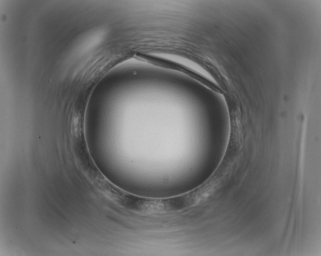 X0000083660123200702261151