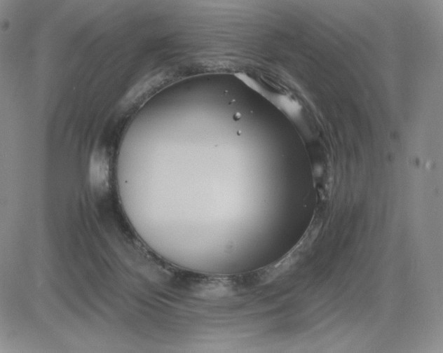 X0000083660124200702261151