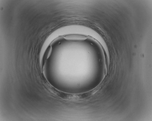 X0000083660125200702261151