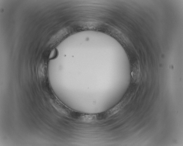 X0000083660126200702261151