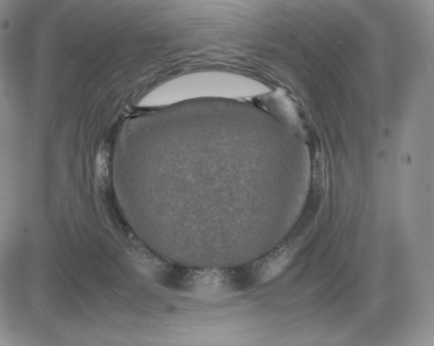 X0000083660127200702261151