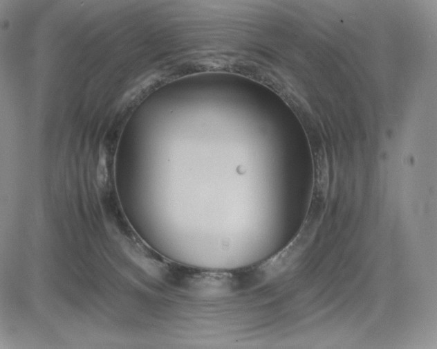 X0000083660128200702261151