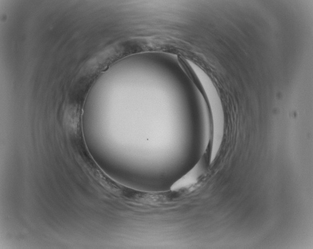 X0000083660129200702261151