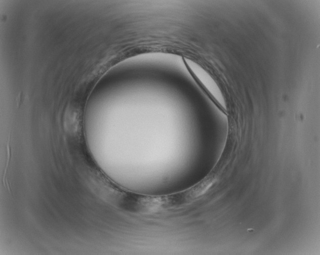 X0000083660131200702261151