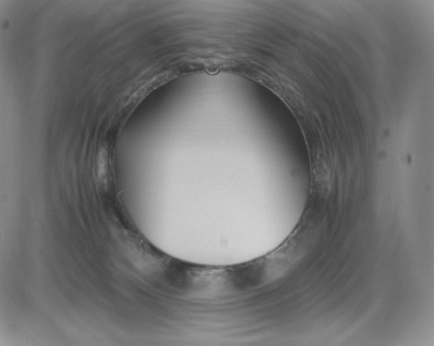 X0000083660132200702261151