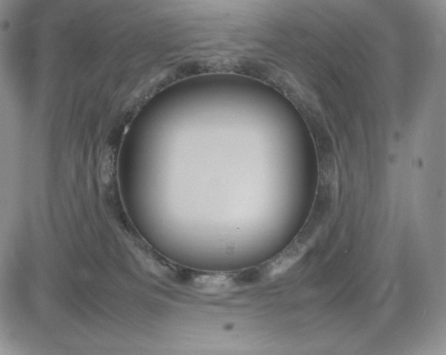 X0000083660133200702261151