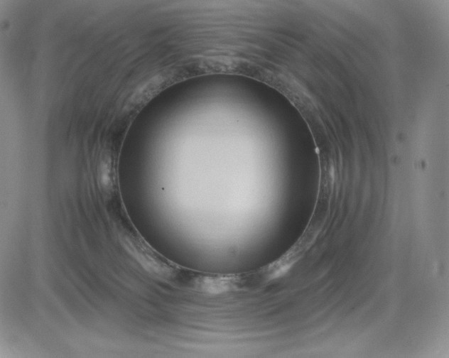 X0000083660134200702261151