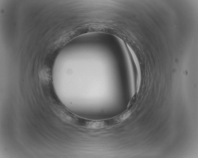 X0000083660135200702261151