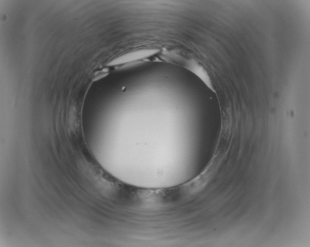 X0000083660136200702261151