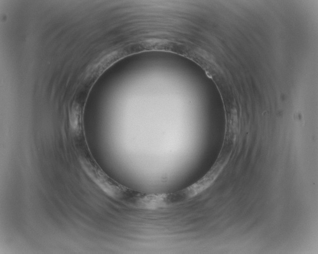 X0000083660138200702261151