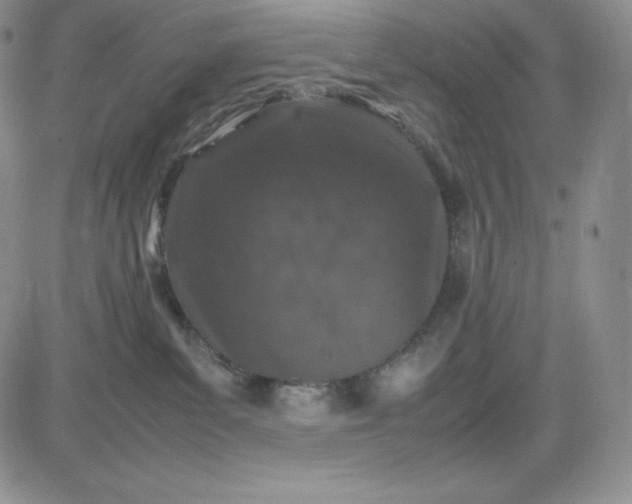 X0000083660139200702261151