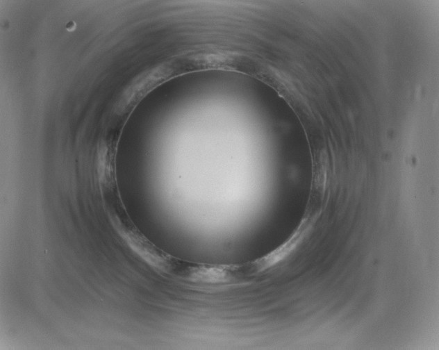 X0000083660140200702261151