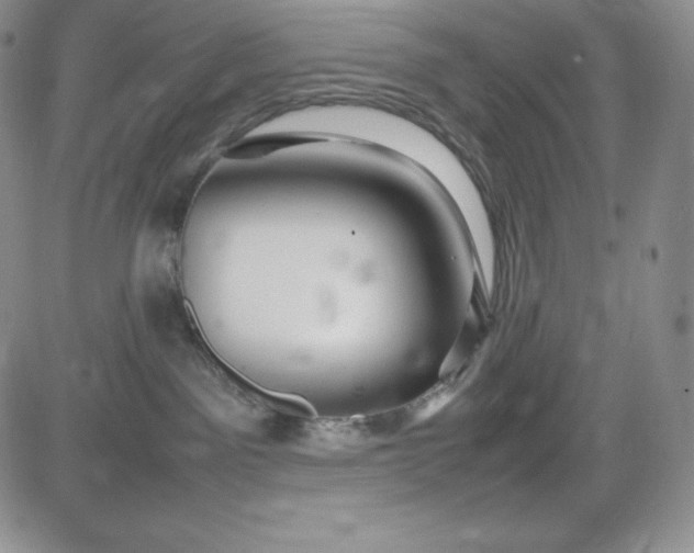 X0000083660141200702261151