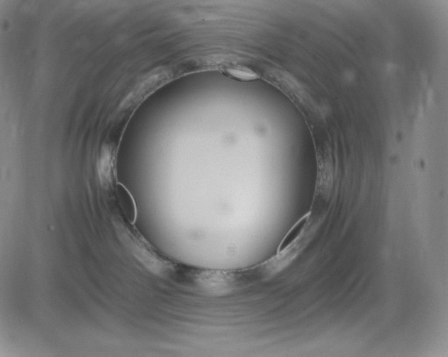 X0000083660142200702261151