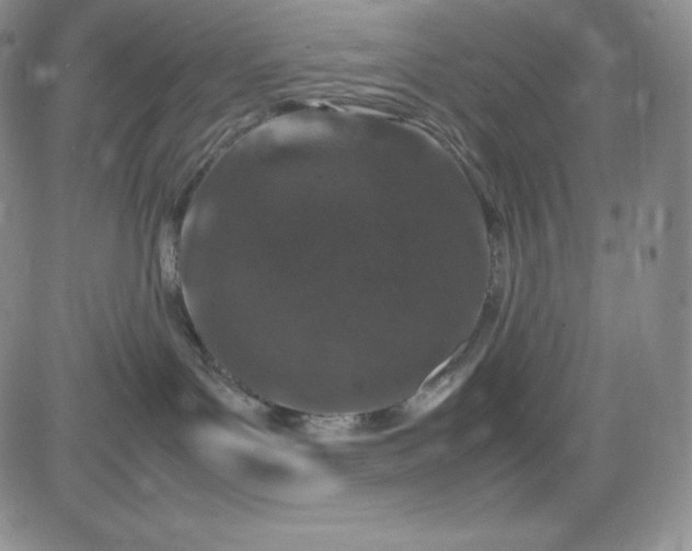 X0000083660143200702261151