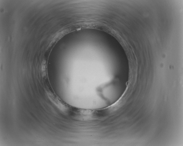 X0000083660144200702261151