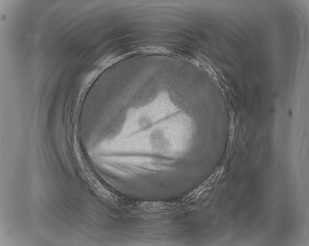 X0000083660145200702261150