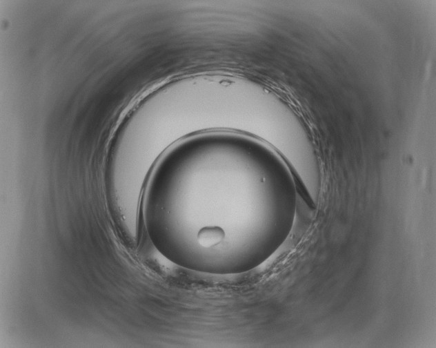 X0000083660146200702261150