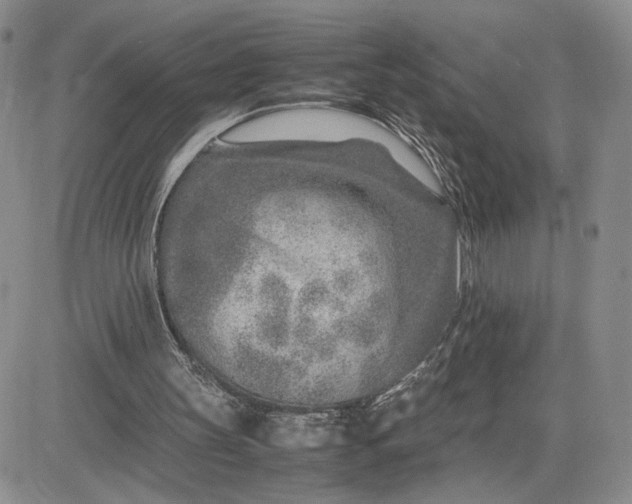 X0000083660147200702261150