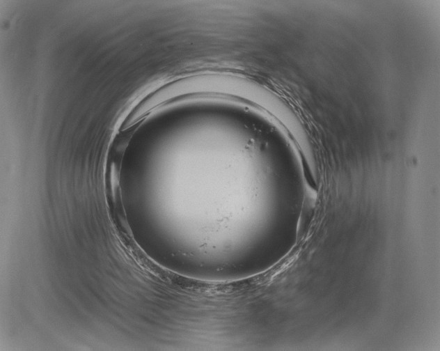 X0000083660148200702261150