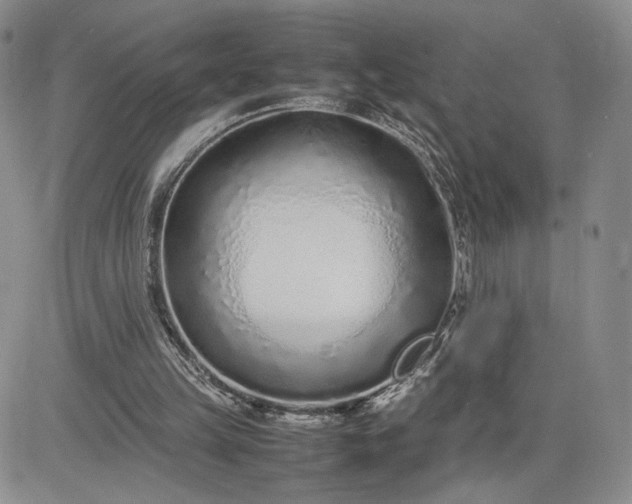 X0000083660149200702261150