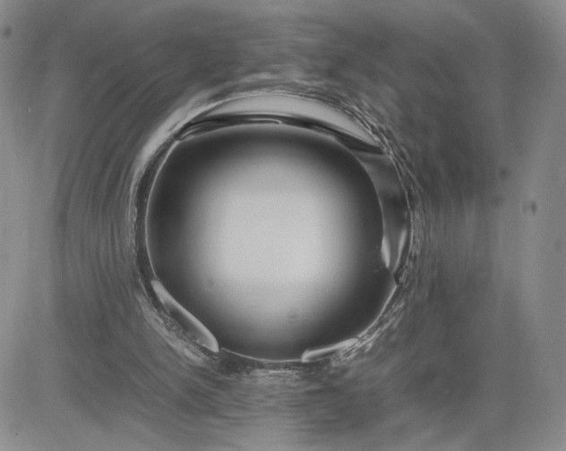 X0000083660150200702261150