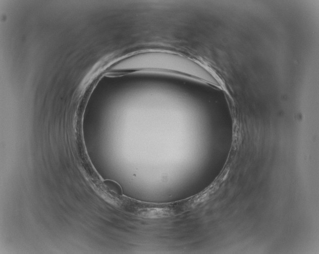 X0000083660151200702261150